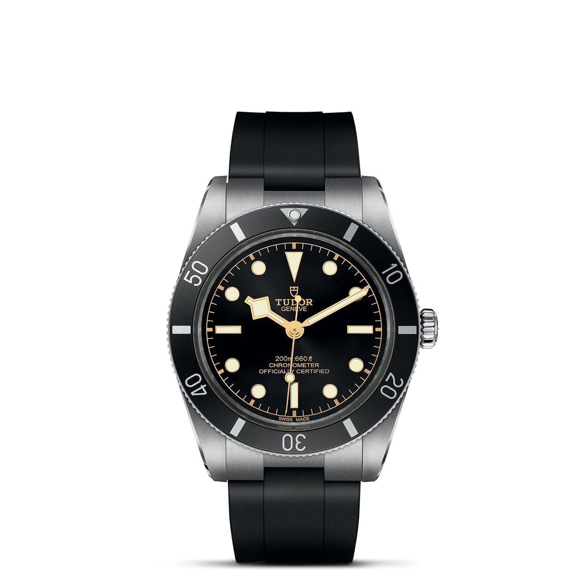 TUDOR Black Bay 54 M79000N-0002