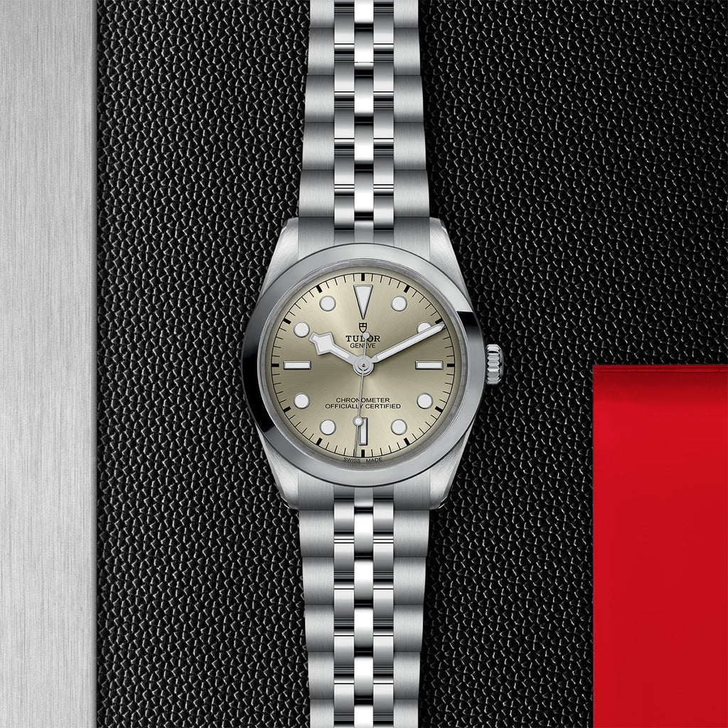 TUDOR Black Bay 36 M79640-0003