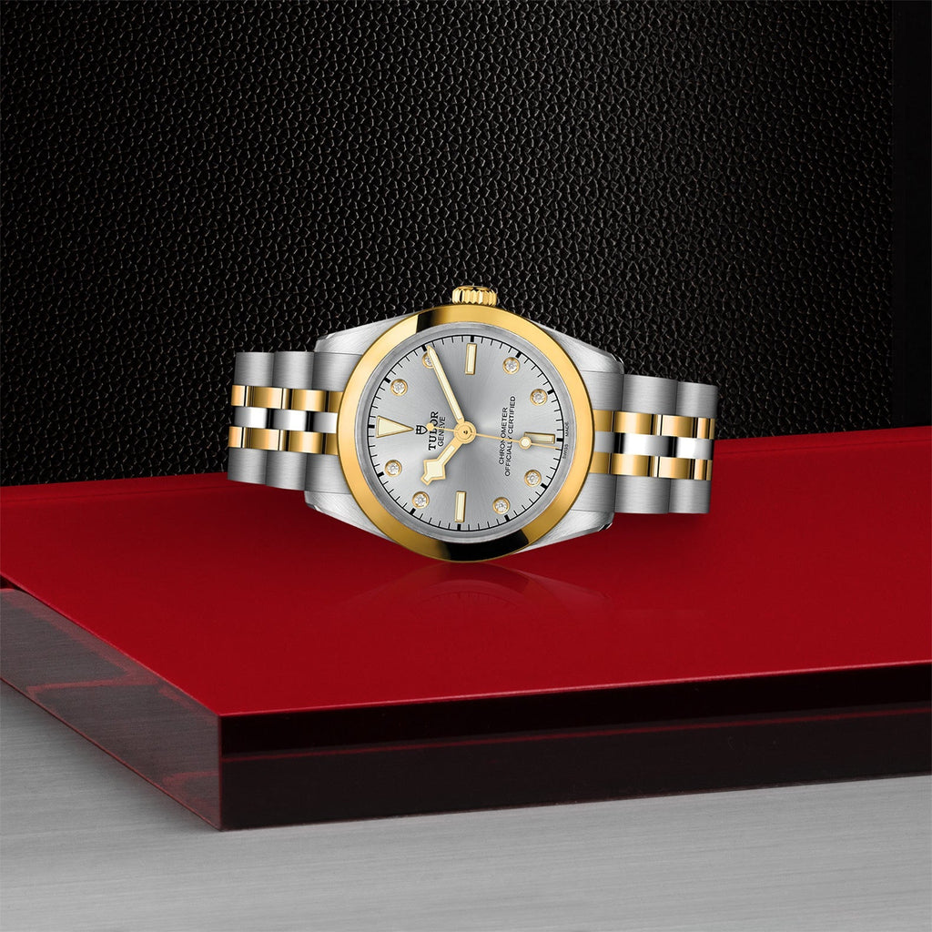 TUDOR Black Bay 31 S&G M79603-0007
