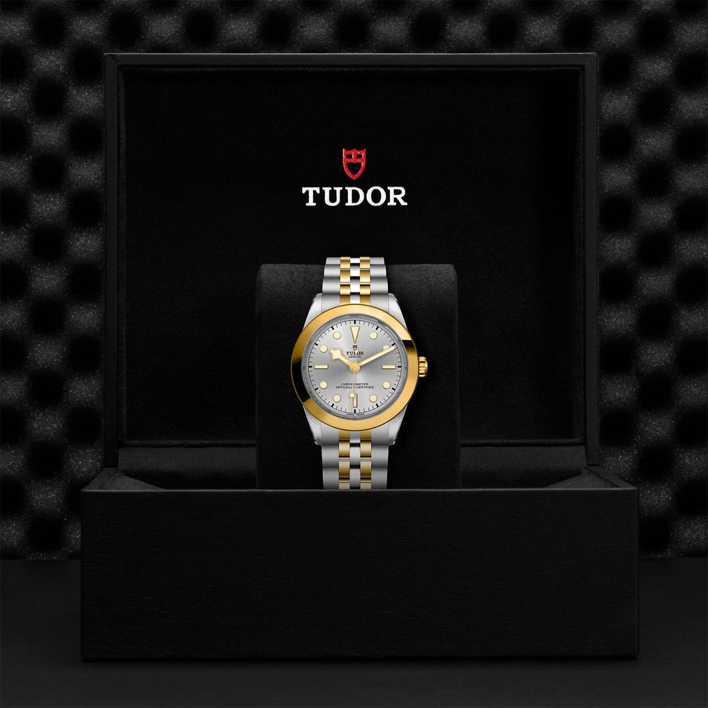 TUDOR Black Bay 39 S&G M79663-0002