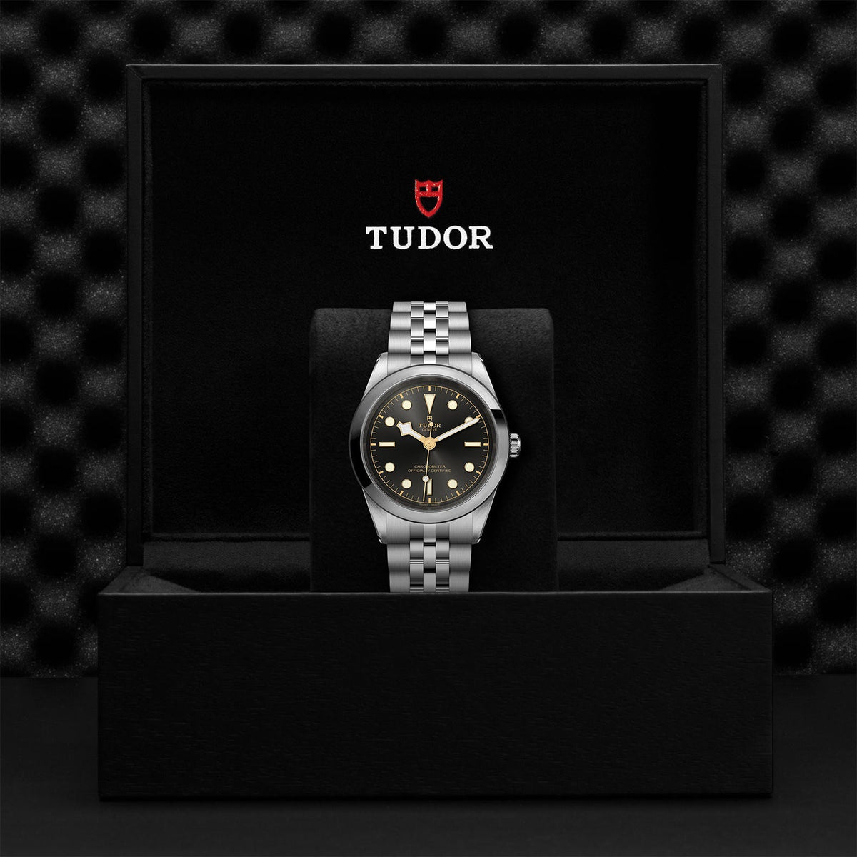 TUDOR Black Bay 41 M79680-0001