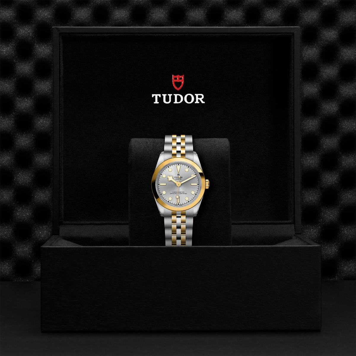 TUDOR Black Bay 31 S&G M79603-0002