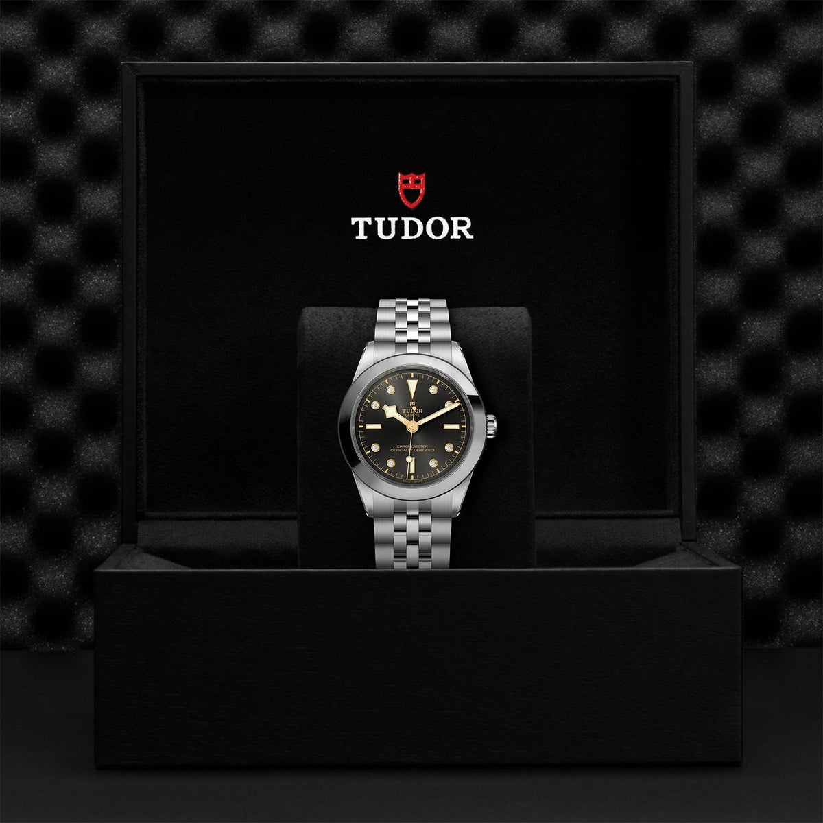TUDOR Black Bay 39 M79660-0004