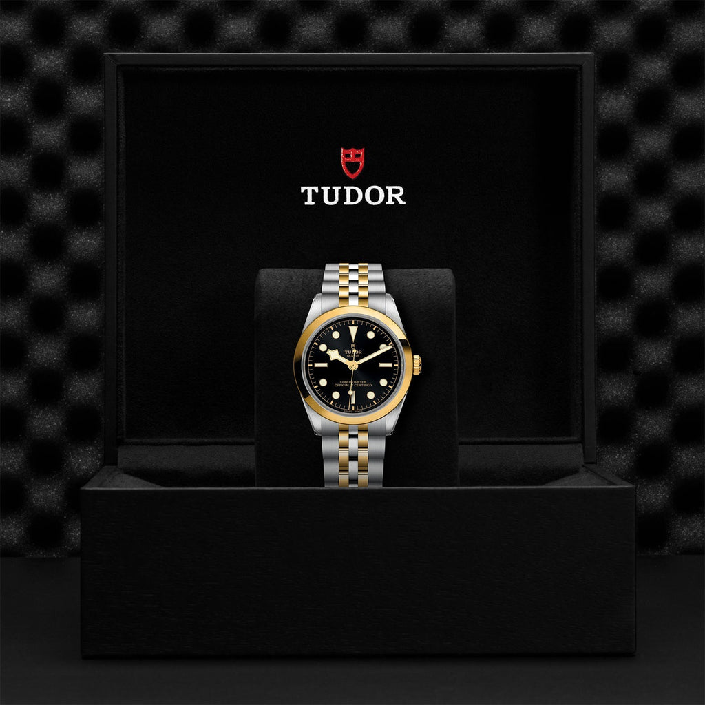 TUDOR Black Bay 36 S&G M79643-0001