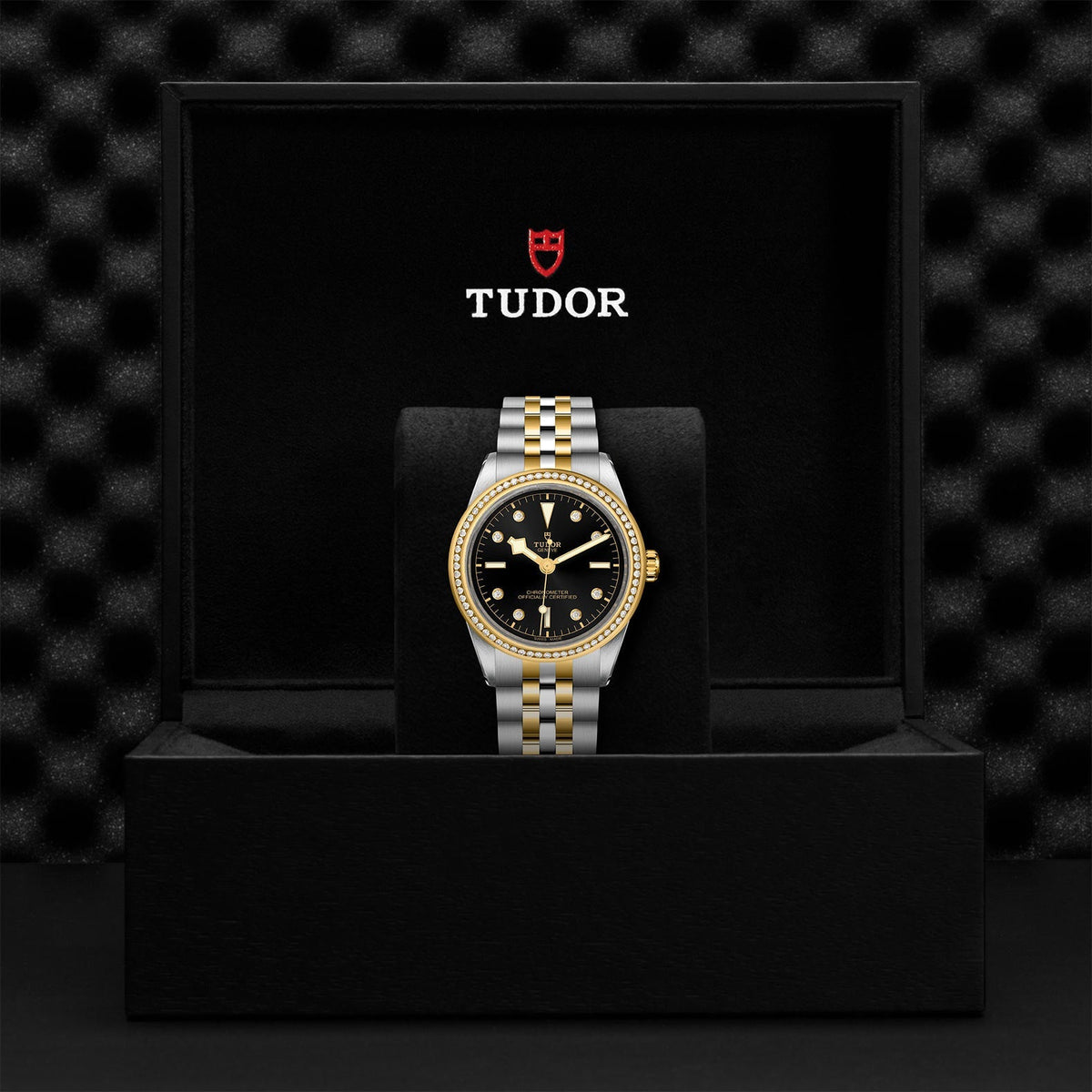 TUDOR Black Bay 39 S&G M79673-0005