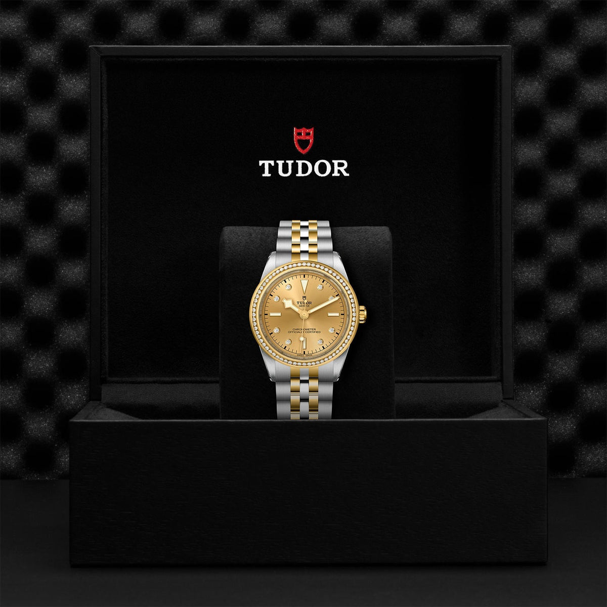 TUDOR Black Bay 39 S&G M79673-0007
