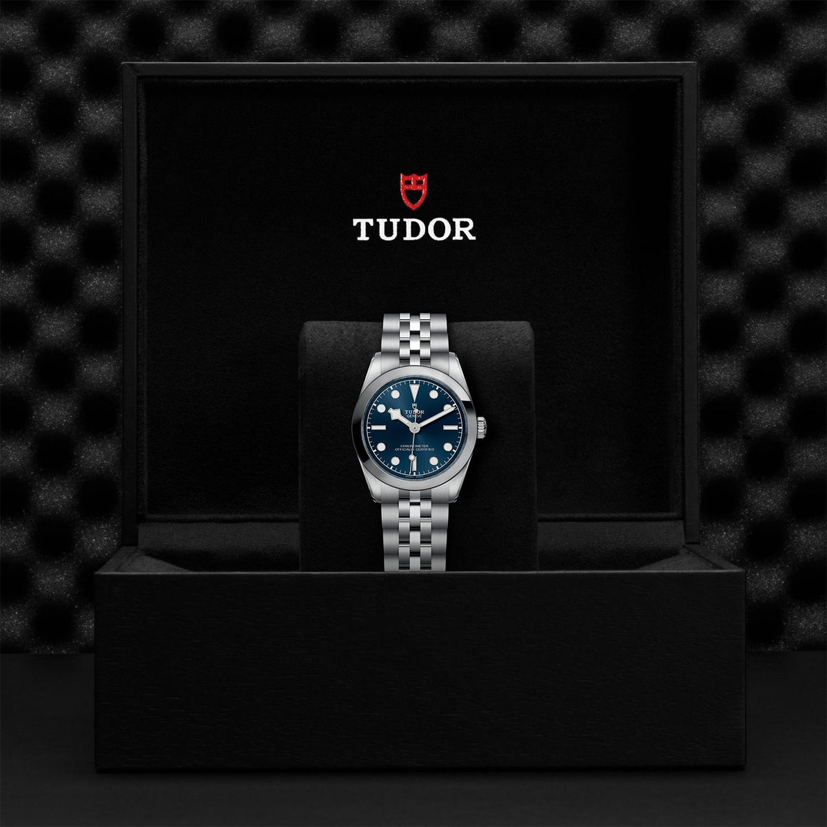 TUDOR Black Bay 31 M79600-0002