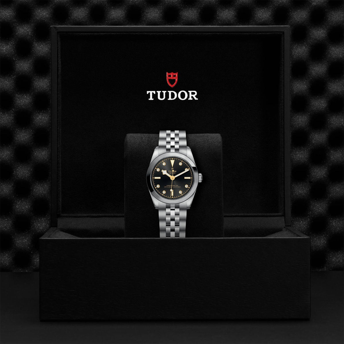 TUDOR Black Bay 31 M79600-0004