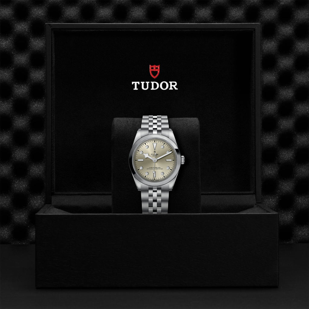TUDOR Black Bay 36 M79640-0006