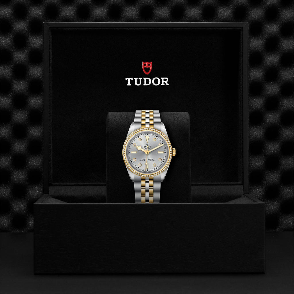 TUDOR Black Bay 36 S&G M79653-0006