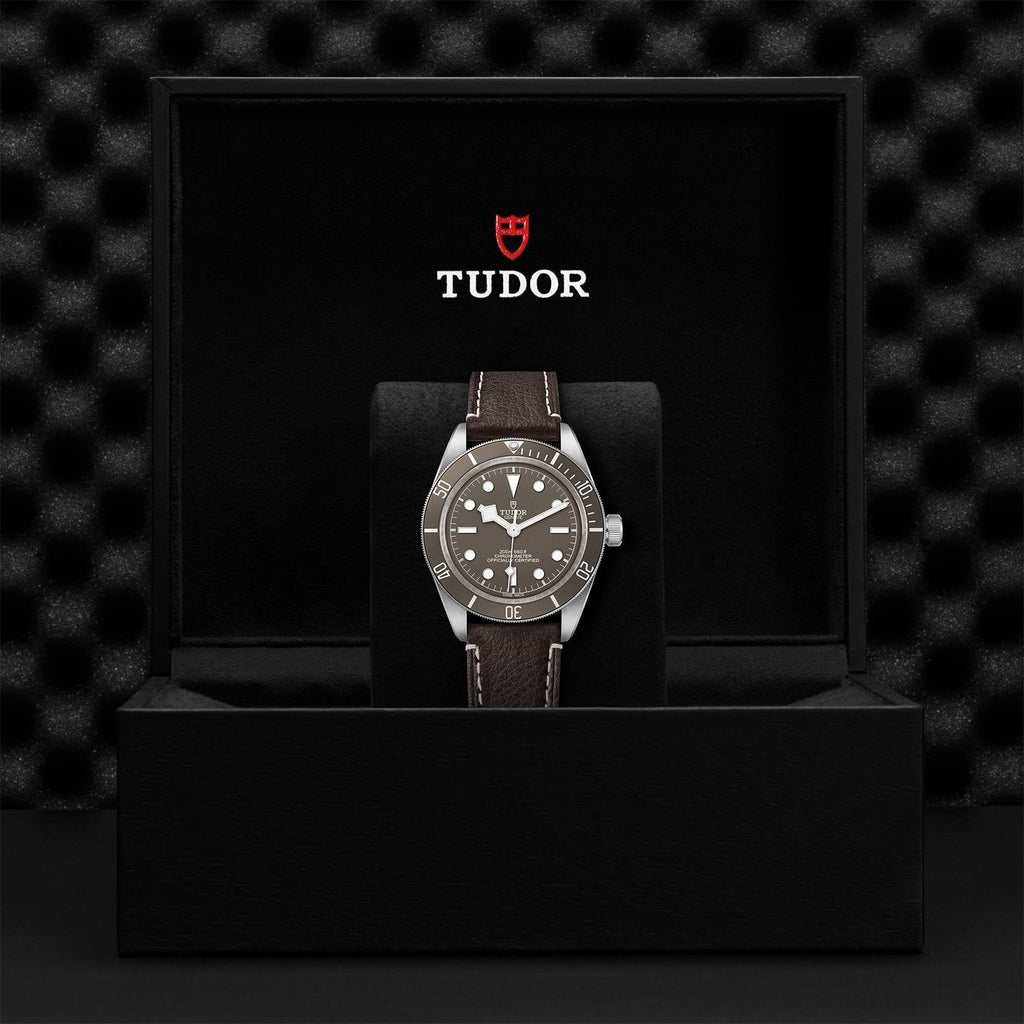 TUDOR Black Bay Fifty-Eight 925 M79010SG-0001