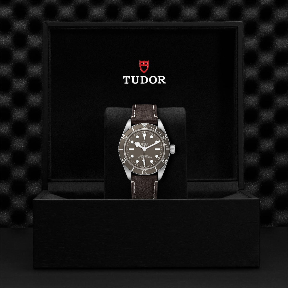TUDOR Black Bay Fifty-Eight 925 M79010SG-0001