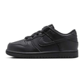 Nike Dunk Low - Youth Sneakers