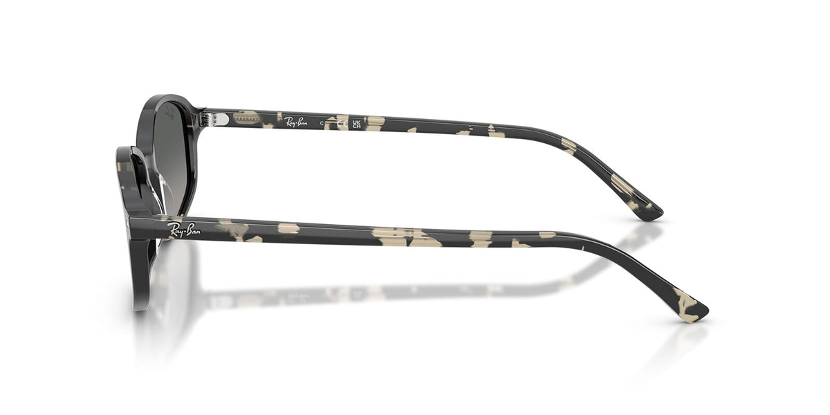 Ray-Ban RB2232