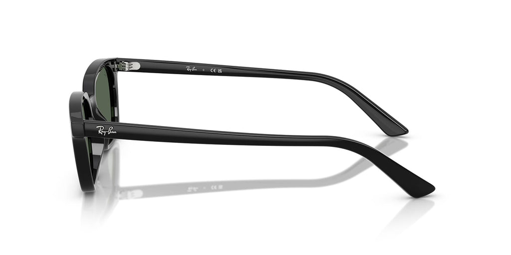 Ray-Ban Zaya RB4456